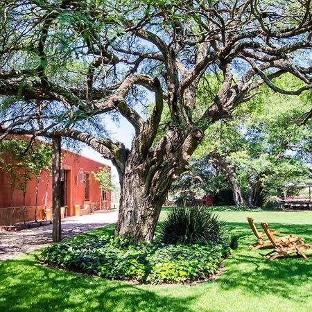 Puerta Del Lobo Villa Querétaro Værelse billede