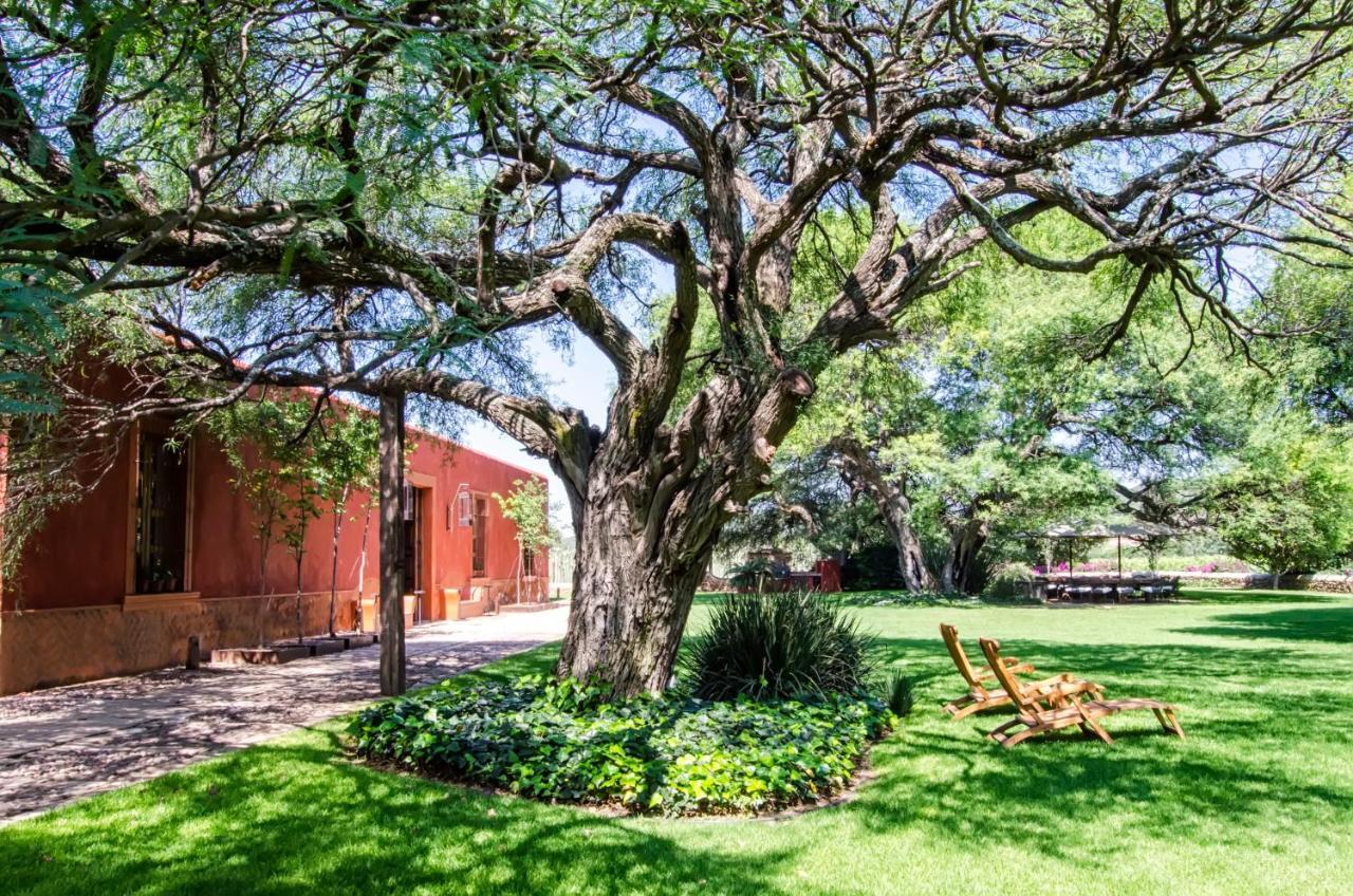 Puerta Del Lobo Villa Querétaro Værelse billede